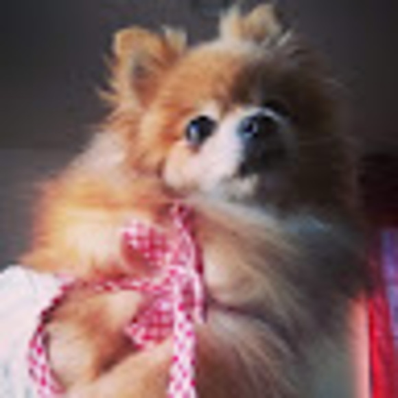 Meet your Posher, Lidia - Picture 1 of 1